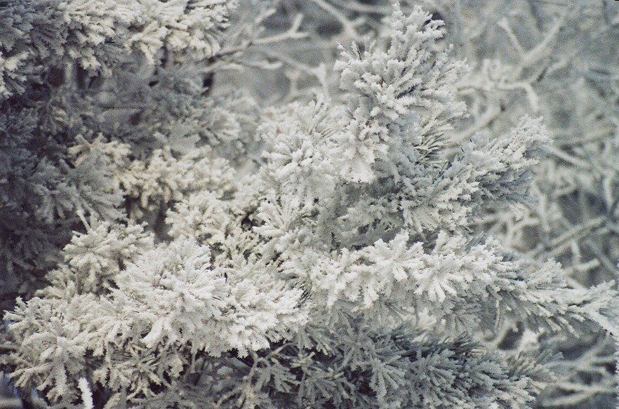 Zima 2002